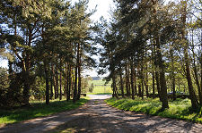 Approach to Parking Area