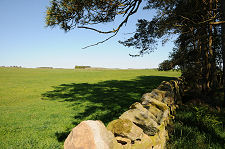 Looking North-East Over Battlefield