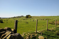 Looking West Over Battlefield