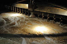 Inside the Mash Tun