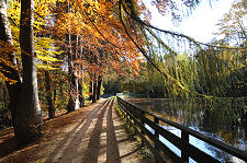 The Path from the Distillery