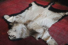 Lionskin Rug
