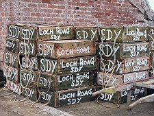 Fish Boxes on Harbour
