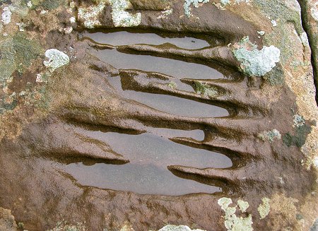 The Devil's Clawmarks in Close-Up