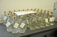 Bottling New Spirit