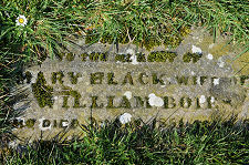 Gravestone in the Grass