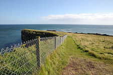 Reverse of the Above View