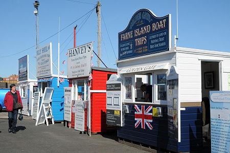 Book Your Boat Trips Here