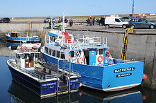 Glad Tidings V and VII