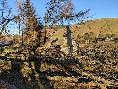 Another View from January 2022 Showing Storm Damage to Trees