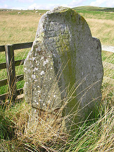 The Stone and Inscription
