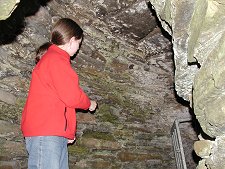 Room Within the Wall