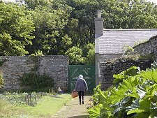 Walled Garden