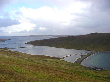 Fora Ness and the Houb