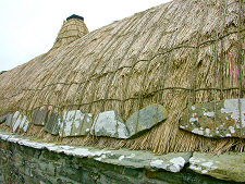 Thatched Roof