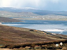 View North from Hill of Burrafirth