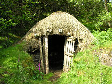 Outhouse Containing the Illegal Still