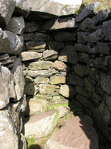 Cavity Within the Wall