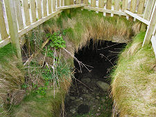 Looking Down Into the Cellar