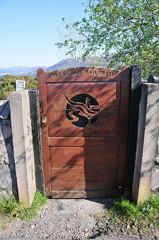 The Gate from the Road