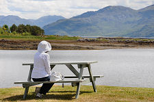 There's a Lighouse Behind Those Trees