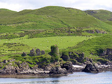 Seen Across Knock Bay