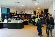 Museum Gift Shop