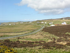 Hallin from the South