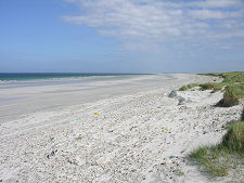 Looking North Along the Beach