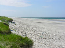 Looking South Along the Beach