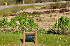 Ashes Scattering Area