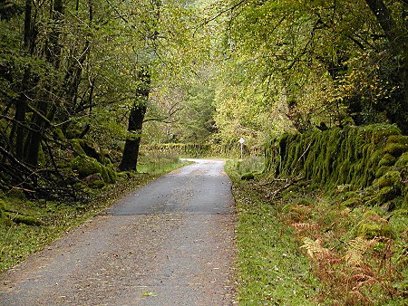 Mile Dorcha, or Dark Mile