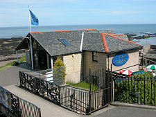 The Front of the Aquarium