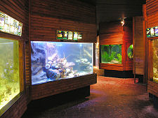 Tanks in the Coastal Cousins Area