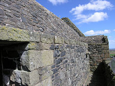 Before the Grass Roof Was Installed