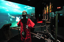 Display of Arms and Armour