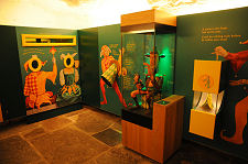 The Life of a Jester