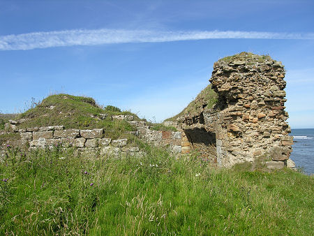 Ardross Castle from the West