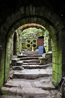 Warm Welcome for Unwanted Visitors