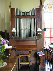The Organ