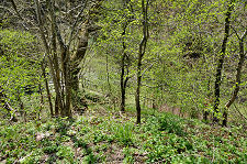 Steep Drop to Powmillon Burn