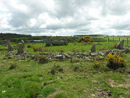 Strichen Stone Circle