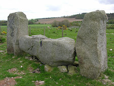 Recumbent and Flankers