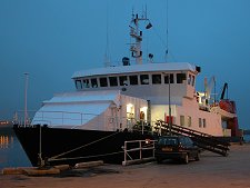 Varagen at Rest in Kirkwall