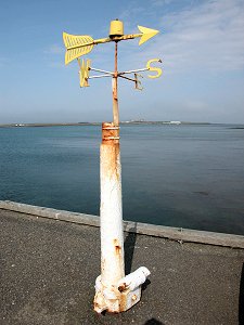 Harbourside Windvane