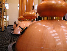 Some of the Still Pots