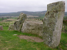 View of the Recumbent and Flankers