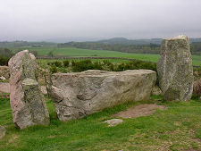 Another View of the Recumbent