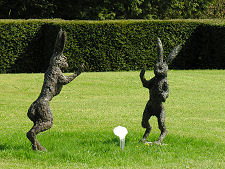 Boxing Hares