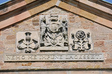 Nemo Me Impune Lacesset